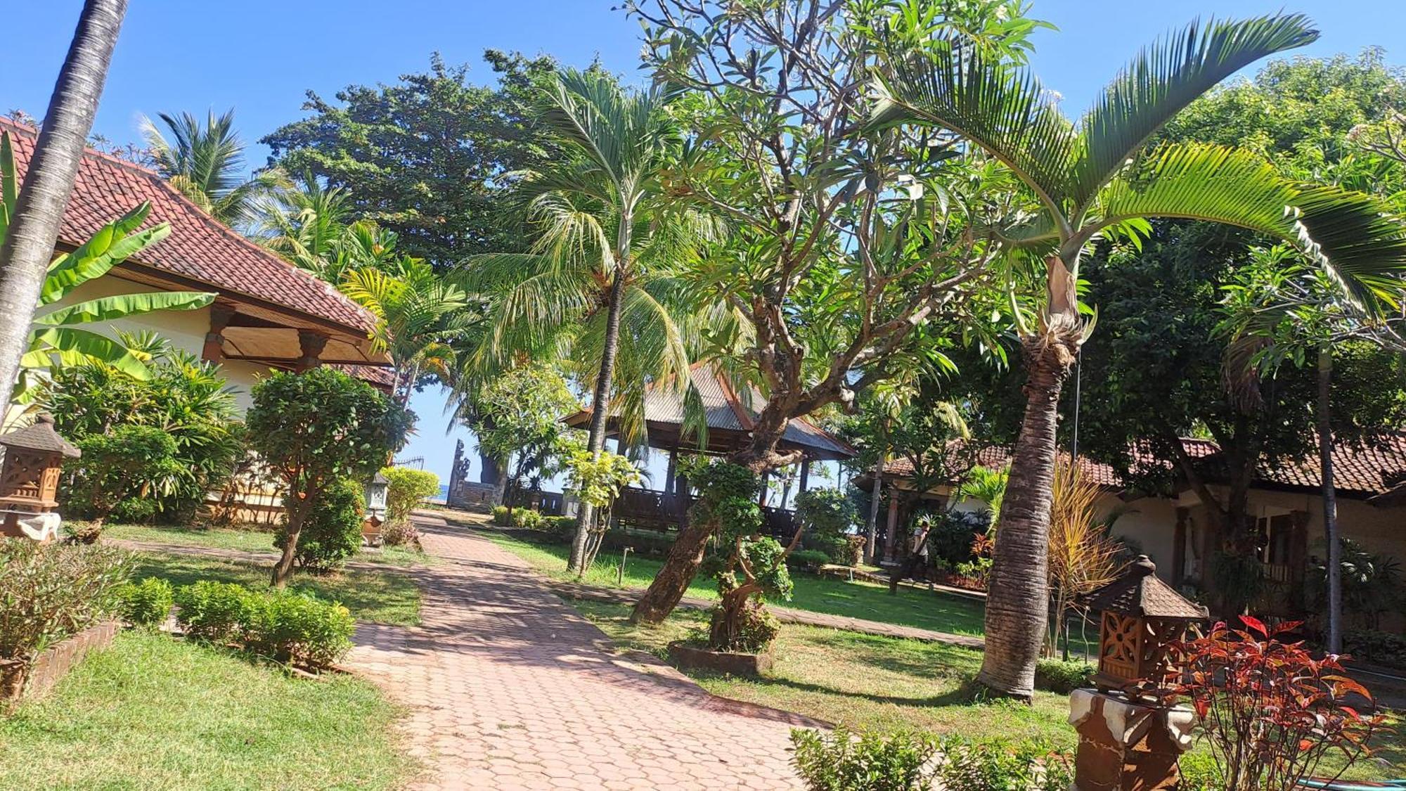 Lovina Beach Hotel Экстерьер фото